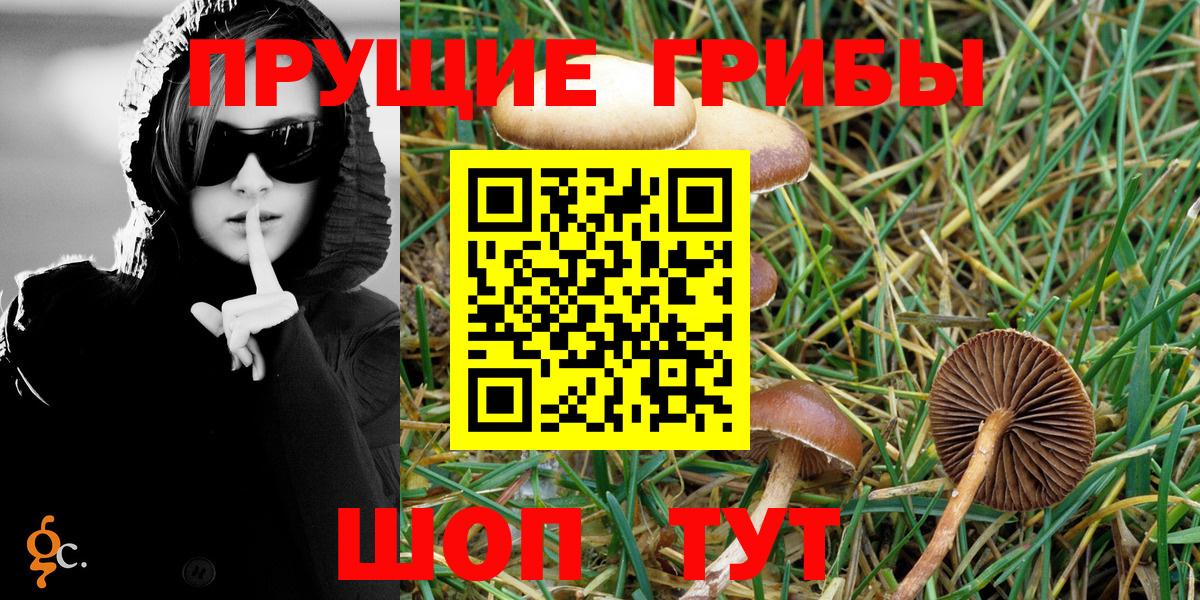 Галлюциногенные грибы Cubensis Тайшет