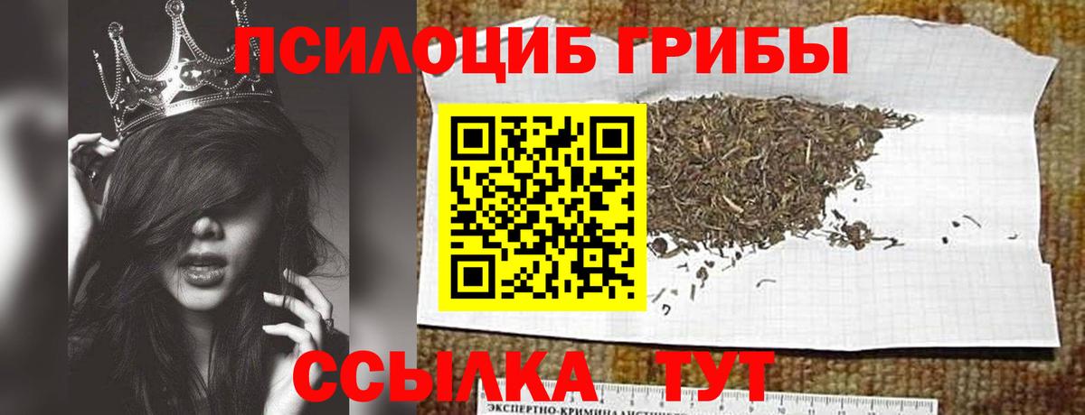 Тайшет  Галлюциногенные грибы мицелий  Псилоцибиновые грибы ЛСД  Вход с VPN 
